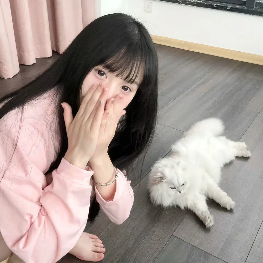 禁忌真相