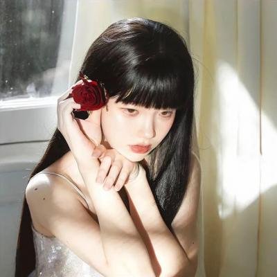 笨蛋·测验·召唤兽 续篇
